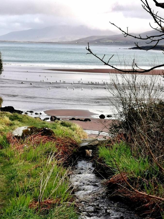 Apartmán The Ce Hideout Tralee Exteriér fotografie