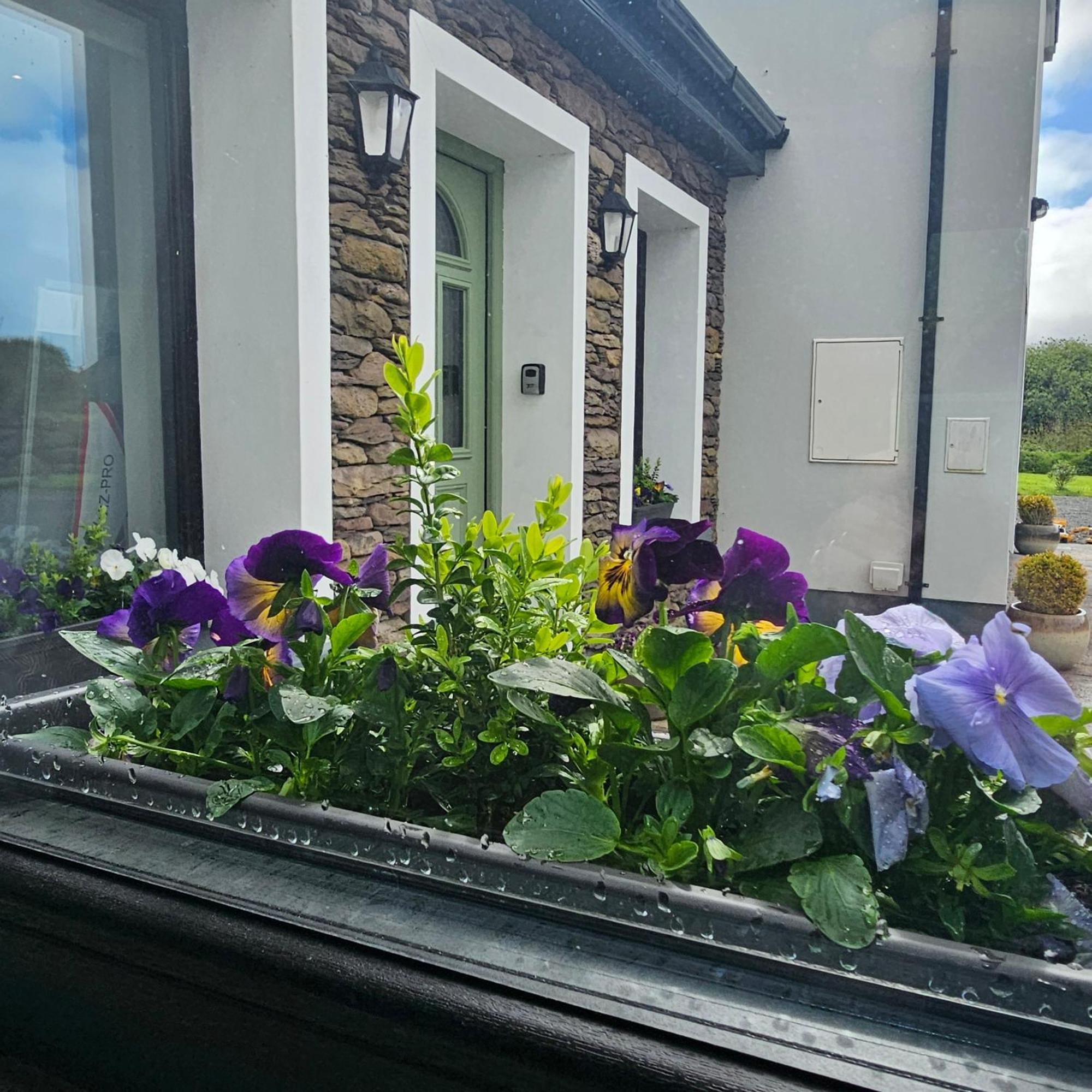Apartmán The Ce Hideout Tralee Exteriér fotografie