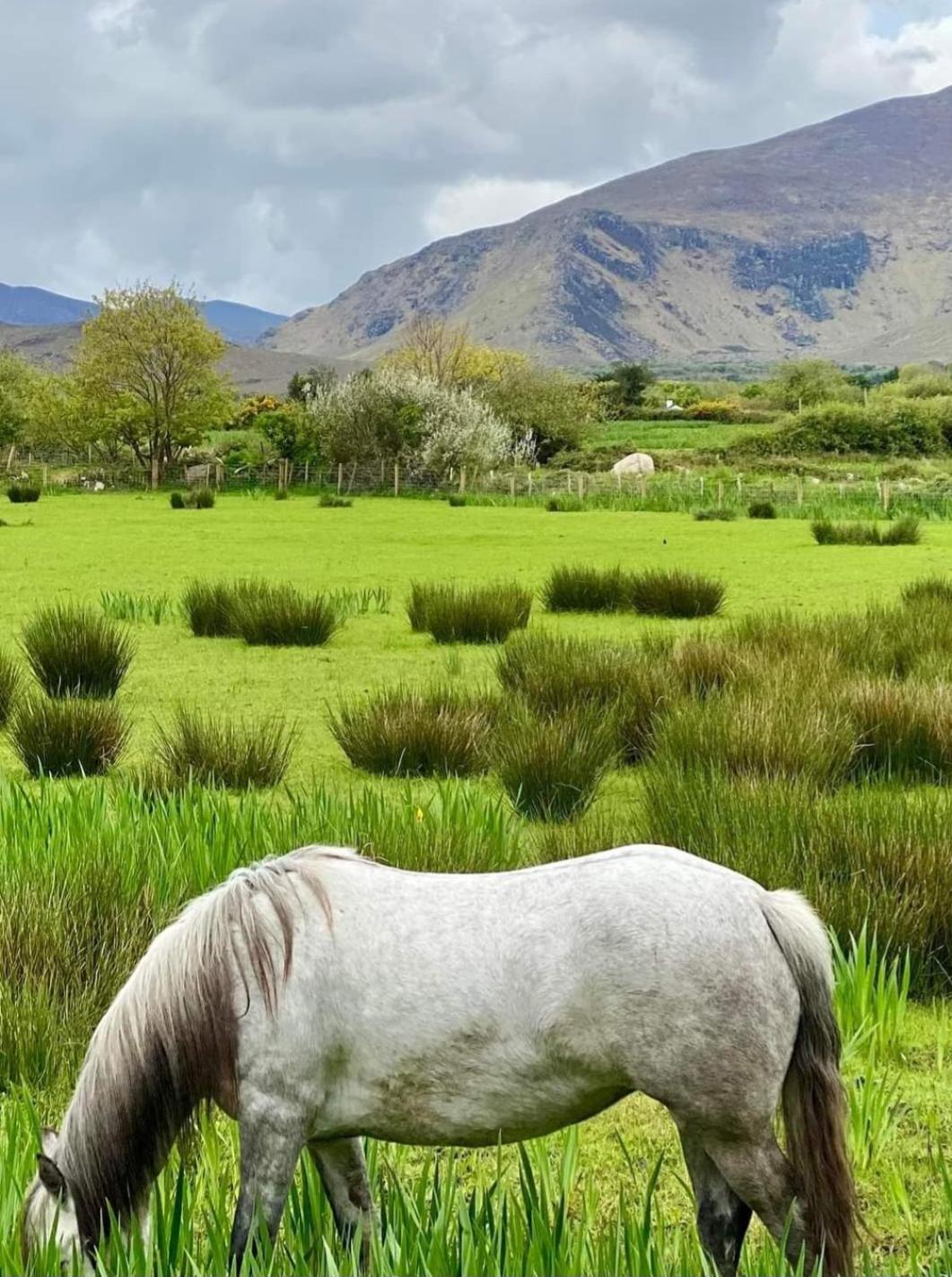 Apartmán The Ce Hideout Tralee Exteriér fotografie
